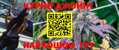 индика Дубна