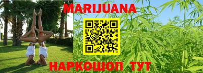 индика Дубна