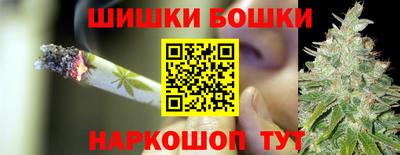 индика Дубна
