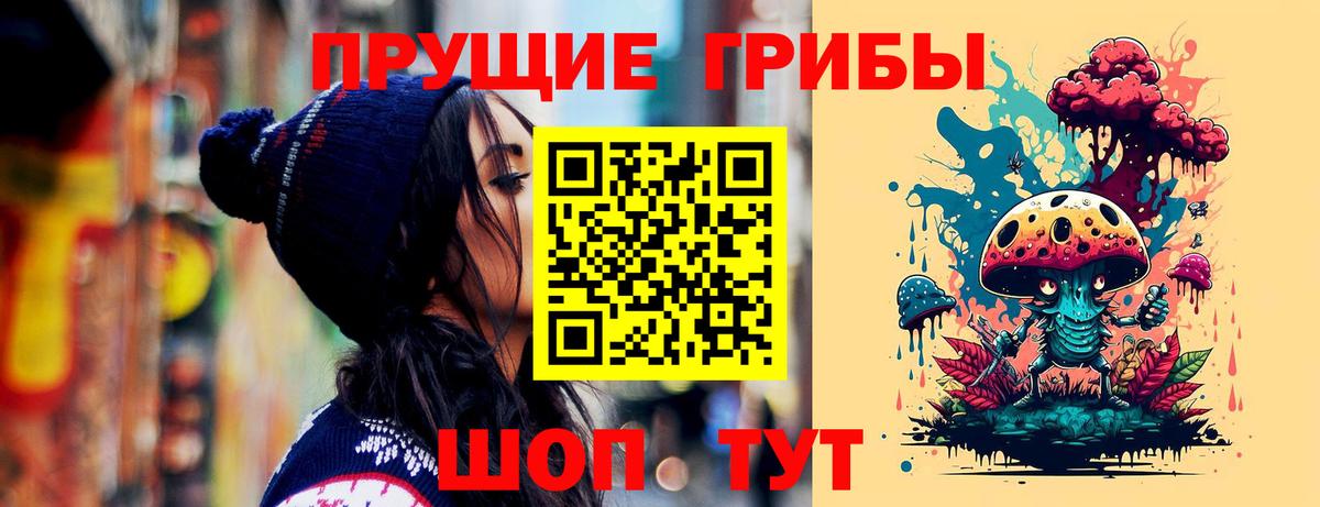 Галлюциногенные грибы MAGIC MUSHROOMS  продажа наркотиков  Ленинск-Кузнецкий 