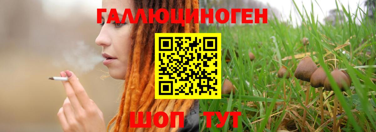 Галлюциногенные грибы Psilocybine cubensis  Псилоцибиновые грибы Cubensis  Вход с VPN  Ленинск-Кузнецкий 